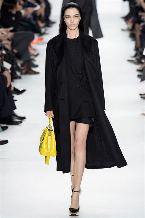 dior fall 2014 ready to wear|Dior ready to wear women.